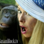 Bonobo Liberation Therapy